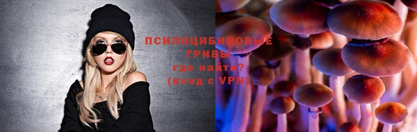 ALPHA-PVP Медвежьегорск