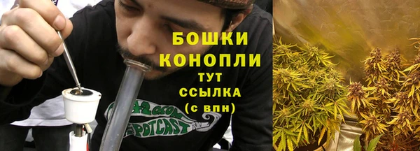 герыч Мегион