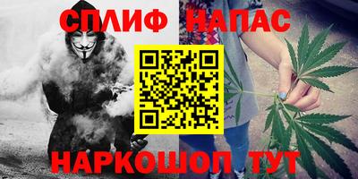 эйфоретик Новокубанск